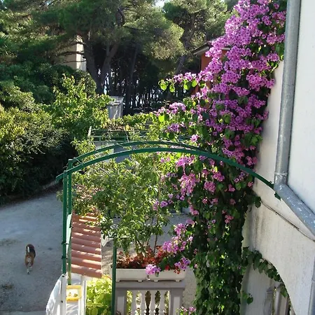 Jadrija 11356a Διαμέρισμα Σίμπενικ