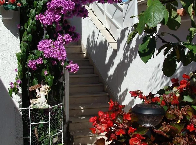 Jadrija 11356a Appartement