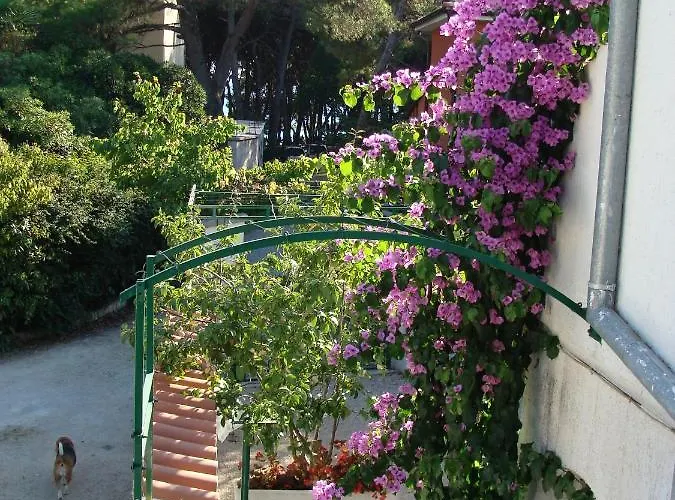 Jadrija 11356a Appartement Šibenik